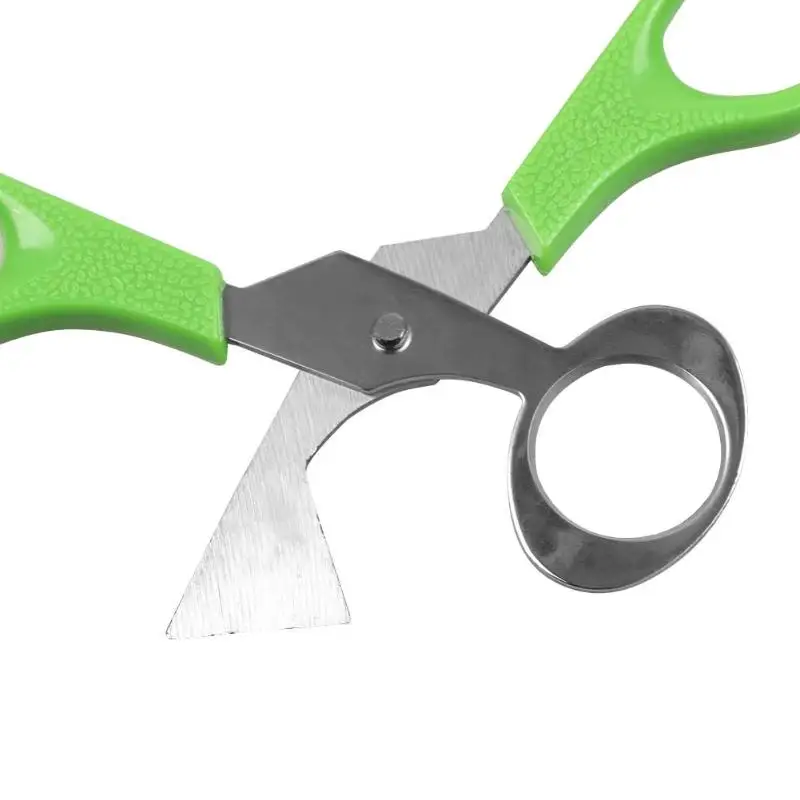 1PC Quail Eggs Scissor Eggshell Cutter Stainless Steel Scissor for Quail Egg Pigeon Bird Opener Kitchen Tool Clipper Gen
1PC Quail Eggs Scissor Eggshell Cutter Stainless Steel Scissor for Quail Egg Pigeon Bird Opener Kitchen Tool Clipper Gen