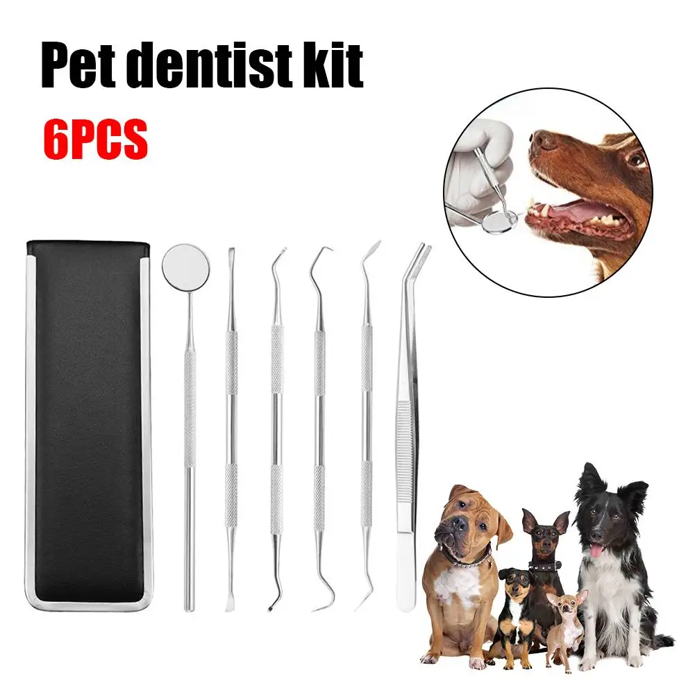 6PCS Pet Dental Tools Set Stainless Steel Professional Mouth Mirror Tweezers Scale-borer Oral Hygiene Cleaning Pet Care Kit
6PCS Pet Dental Tools Set Stainless Steel Professional Mouth Mirror Tweezers Scale-borer Oral Hygiene Cleaning Pet Care Kit