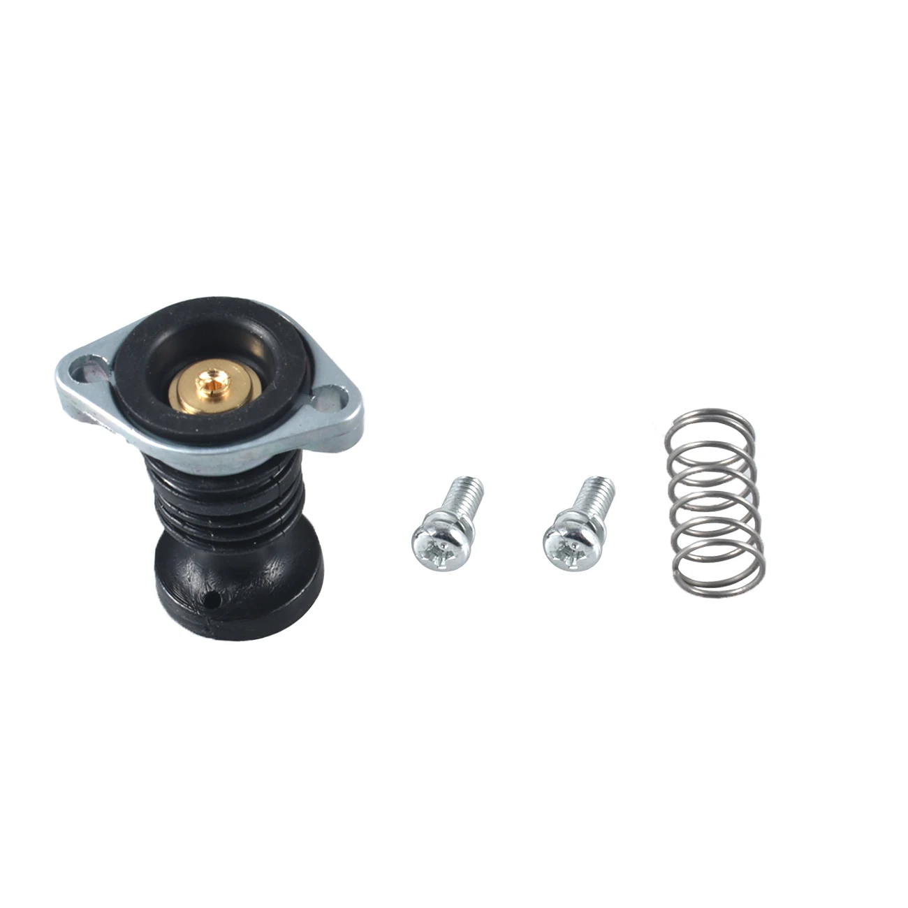 Carburetor Primer Pump For Honda ATV TRX300 350 TRX400 TRX450 TRX500 TRX650 Carb
Carburetor Primer Pump For Honda ATV TRX300 350 TRX400 TRX450 TRX500 TRX650 Carb