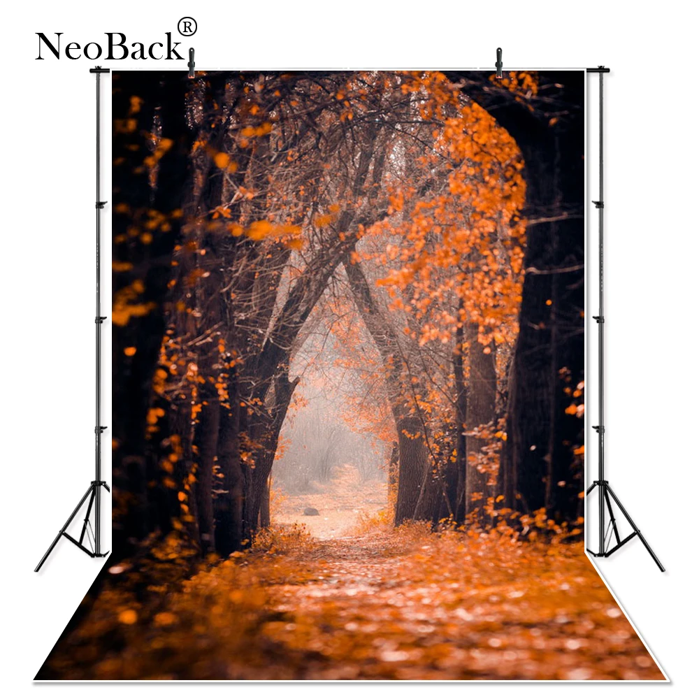 Фотофон NeoBack из тонкого винила Золотая Осенняя лесная сцена детский фон для студийной фотосъемки свадебный фон P1660
Фотофон NeoBack из тонкого винила Золотая Осенняя лесная сцена детский фон для студийной фотосъемки свадебный фон P1660