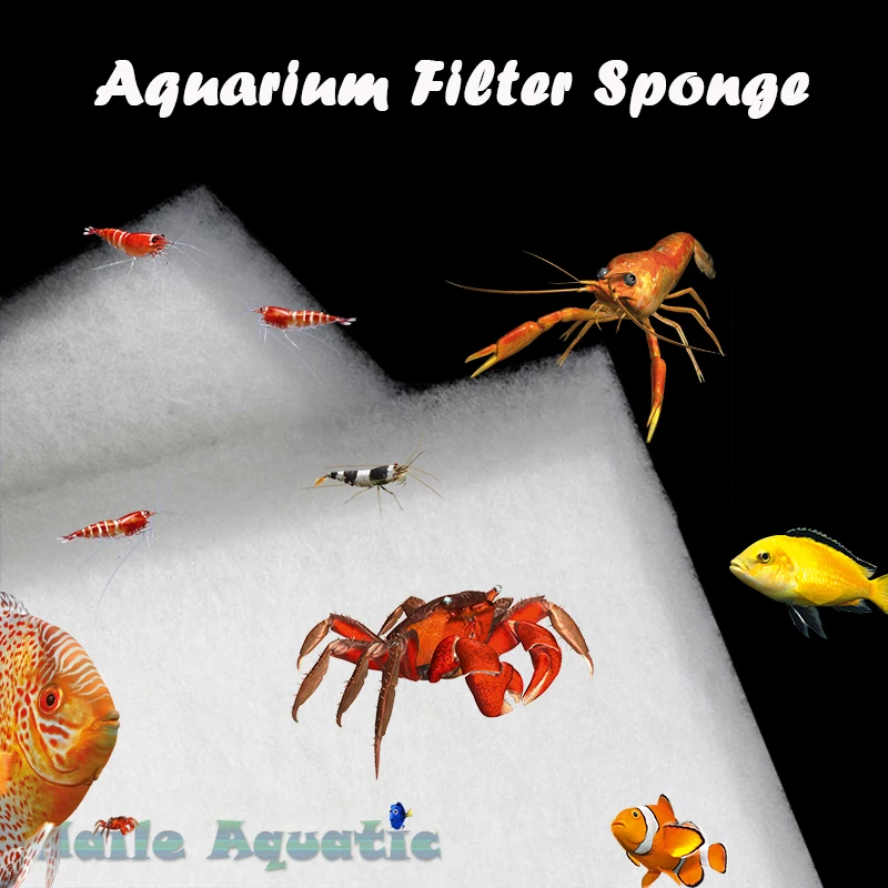 Haile Aquatic Новый Прочный фильтр губка поролоновая прокладка аквариум шерсть пруд