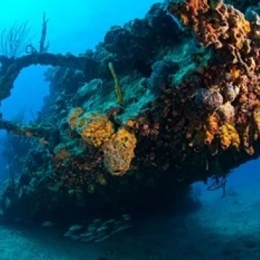 Аквалангист RMS Rhone wreck British Virgin Isl плакат печать Стюартом вестморлендом (35x23) | Дом и