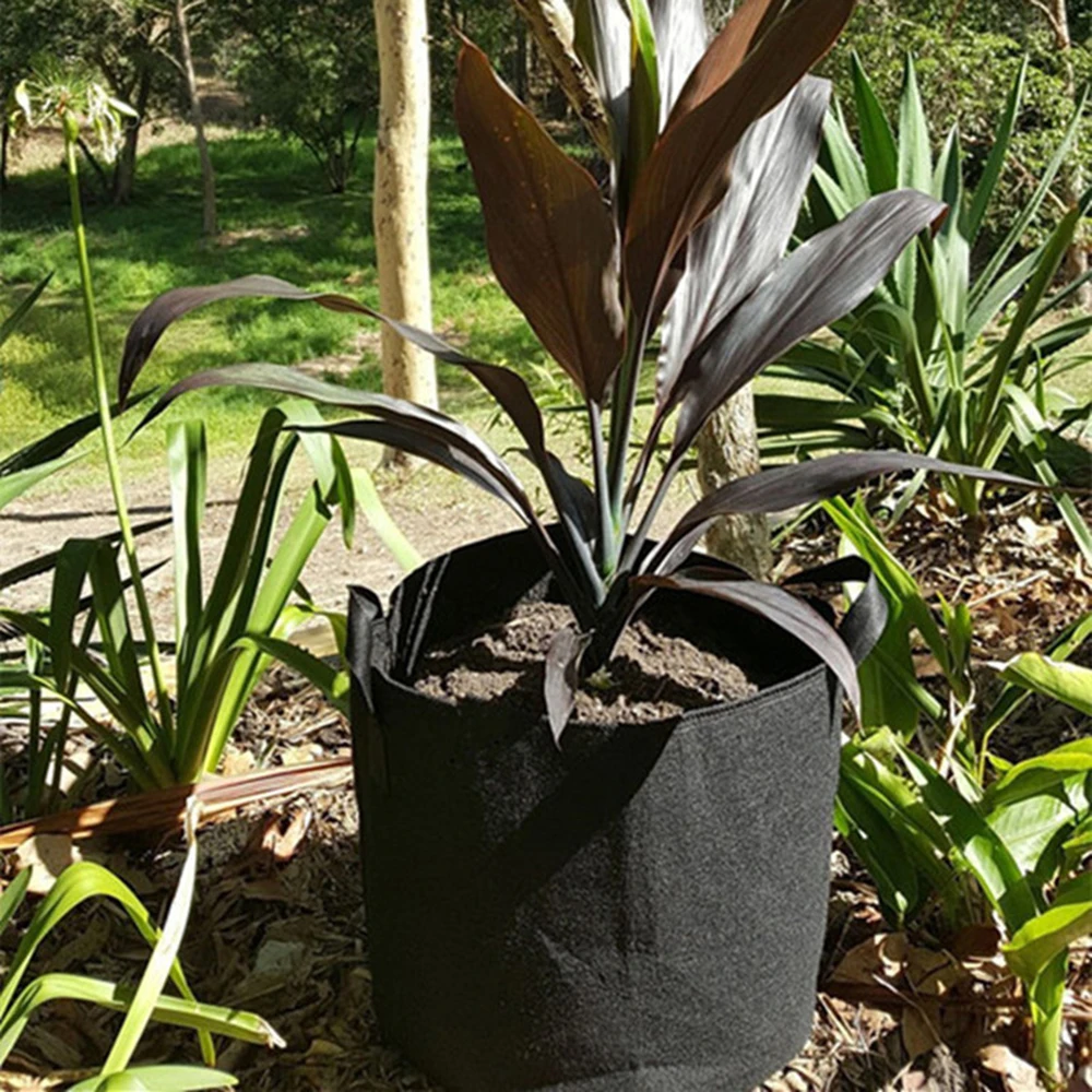 3 Gallon Black Plants Growing Bag Vegetable Flower Aeration Planting Pot Container Round Fabric Pots Plant Pot Container
3 Gallon Black Plants Growing Bag Vegetable Flower Aeration Planting Pot Container Round Fabric Pots Plant Pot Container