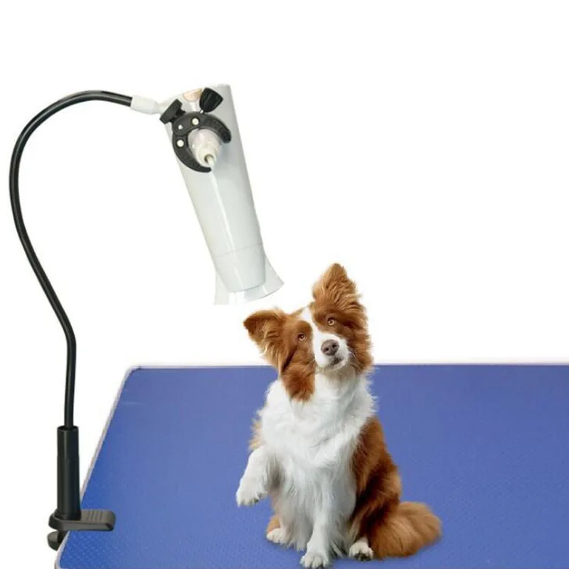 Adjustable Pet Hair Dryer Bracket Dog Cat Grooming Arm Support 70cm Pet Clothes Dryer Frame Blower Cradle Trestles CW244
Adjustable Pet Hair Dryer Bracket Dog Cat Grooming Arm Support 70cm Pet Clothes Dryer Frame Blower Cradle Trestles CW244