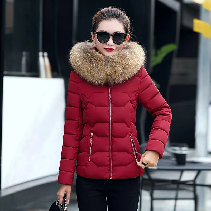 2019 New Pattern Cotton Woman Short Autumn And Winter Korean Suit-dress Cotton-padded Clothes Heavy Lead Cotton-padded Jacket
2019 New Pattern Cotton Woman Short Autumn And Winter Korean Suit-dress Cotton-padded Clothes Heavy Lead Cotton-padded Jacket