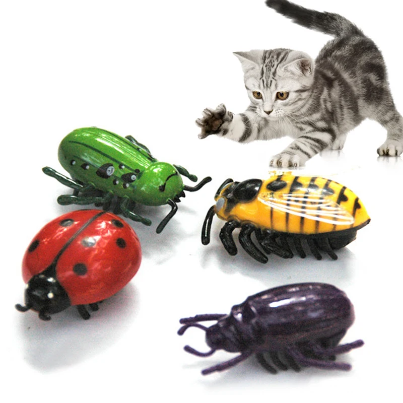 Sale 1pc New Mini Cute Auto Cicada Walking Insect Electric Insect Interactive Simulation Beetle Pet Toys
Sale 1pc New Mini Cute Auto Cicada Walking Insect Electric Insect Interactive Simulation Beetle Pet Toys