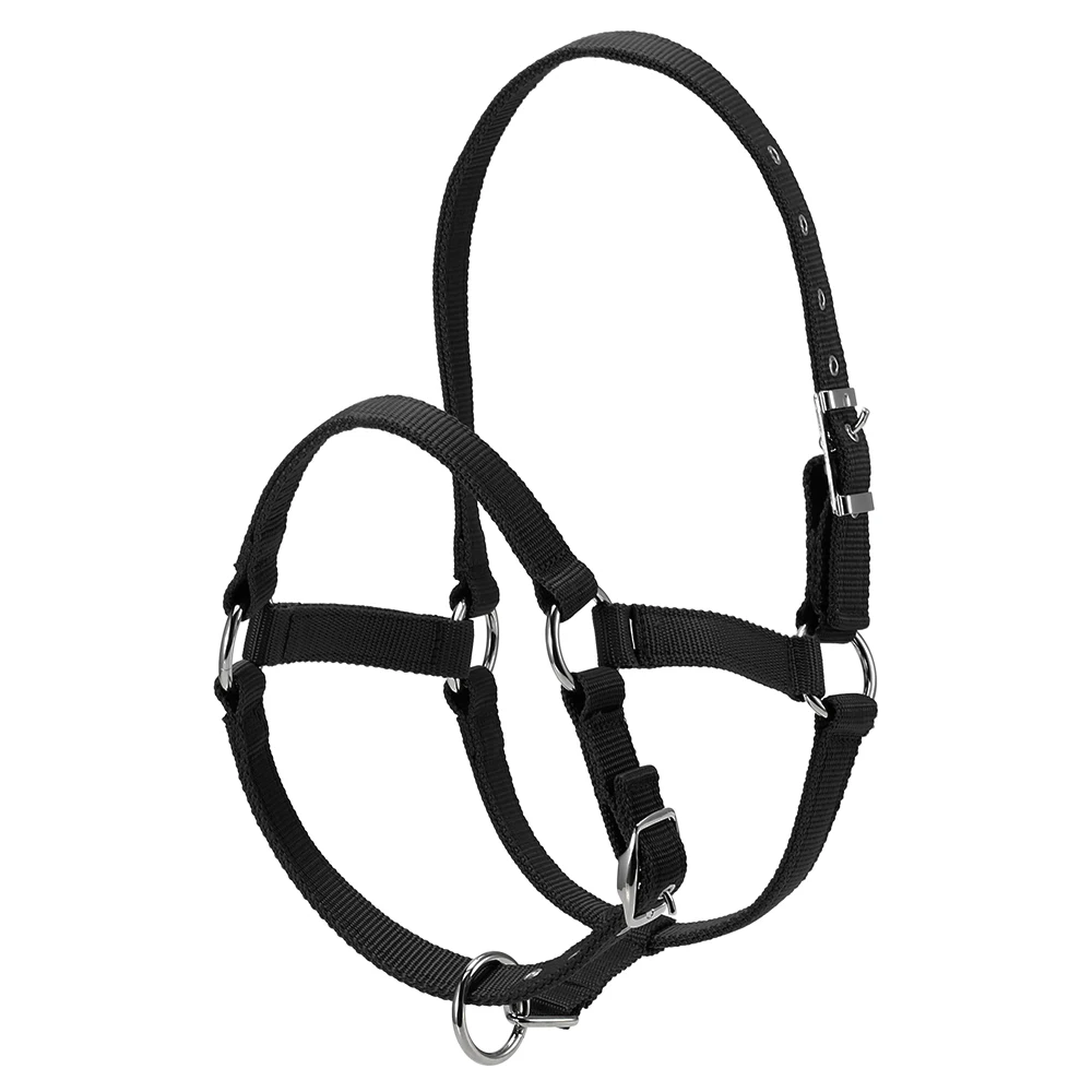 Durable Horse Head Collar Halter 6MM Thickened Horse Riding Bridle Horse Riding Equipment Halter Horse Accessories
Durable Horse Head Collar Halter 6MM Thickened Horse Riding Bridle Horse Riding Equipment Halter Horse Accessories