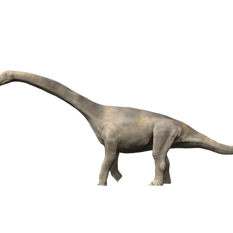 Turiasaurus riodevensis поздний Юрский или ранний меловой Испании плакат печать