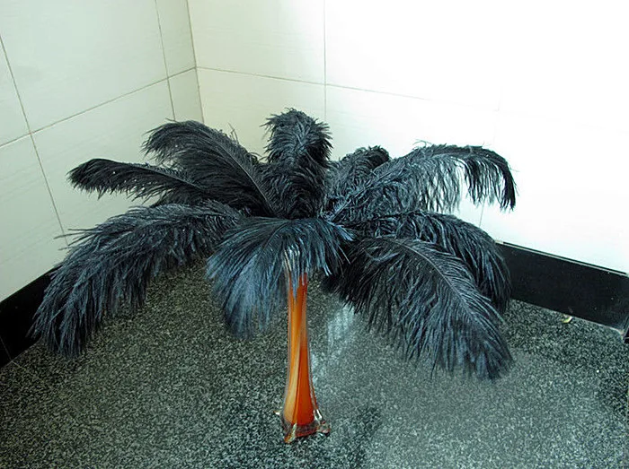 Wholesale 500Pcs/Lot natural Black Ostrich Feathers Hard rod 15-75CM Hotel Party Wedding Decorations Jewelry plume Feather
Wholesale 500Pcs/Lot natural Black Ostrich Feathers Hard rod 15-75CM Hotel Party Wedding Decorations Jewelry plume Feather