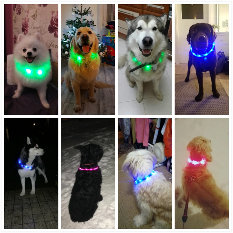 3 Styles USB Charging Adjustable Pet Dog Collar LED Rechargeable Night Flashing Luminous Plastic PVC Solid Neck Cat Collars
3 Styles USB Charging Adjustable Pet Dog Collar LED Rechargeable Night Flashing Luminous Plastic PVC Solid Neck Cat Collars
