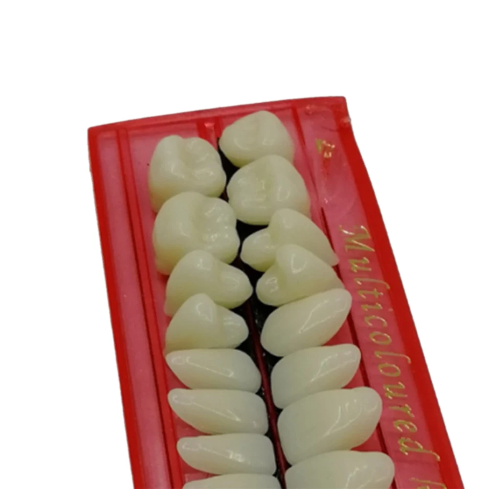 1/10sets Pro Dental Material Plastic Teeth Teaching Model Dedicated Teeth Dental Material Useful Teeth Care Tool
1/10sets Pro Dental Material Plastic Teeth Teaching Model Dedicated Teeth Dental Material Useful Teeth Care Tool