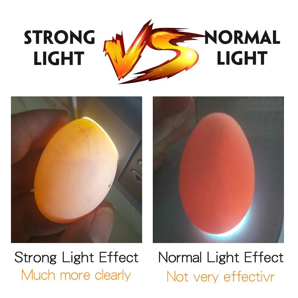 General 12 Eggs Mini Automatic LED Digital Eggs Incubator Hatcher Turning Machine For Chicken Duck Bird Goose Eggs
General 12 Eggs Mini Automatic LED Digital Eggs Incubator Hatcher Turning Machine For Chicken Duck Bird Goose Eggs