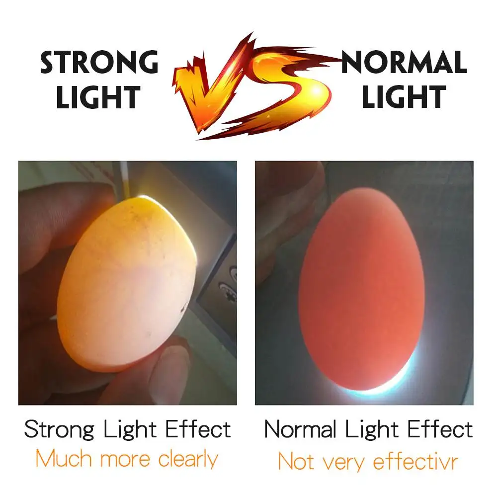 Автоматический светодиодный мини инкубатор для яиц 12 яиц|Принадлежности