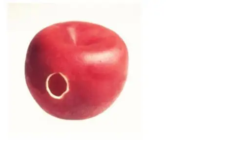 Rubber Apple/Magic Trick,Mentalism,Stage Magic,Comedy,Close Up,Accessories,illusions,Magia Toys,Gadgets,Joke
Rubber Apple/Magic Trick,Mentalism,Stage Magic,Comedy,Close Up,Accessories,illusions,Magia Toys,Gadgets,Joke