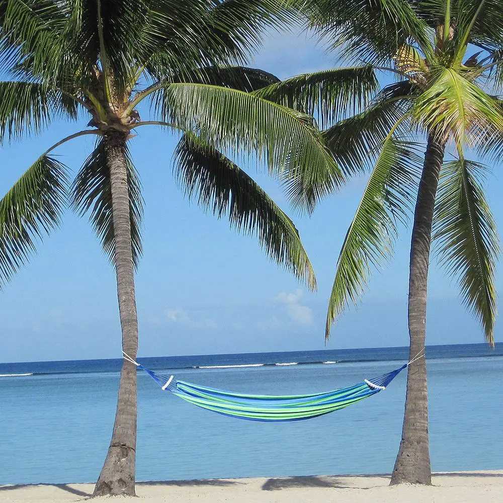 Double Hammock 450 Lbs Portable Travel Camping Hanging Hammock Swing Lazy Chair Canvas Hammocks
Double Hammock 450 Lbs Portable Travel Camping Hanging Hammock Swing Lazy Chair Canvas Hammocks
