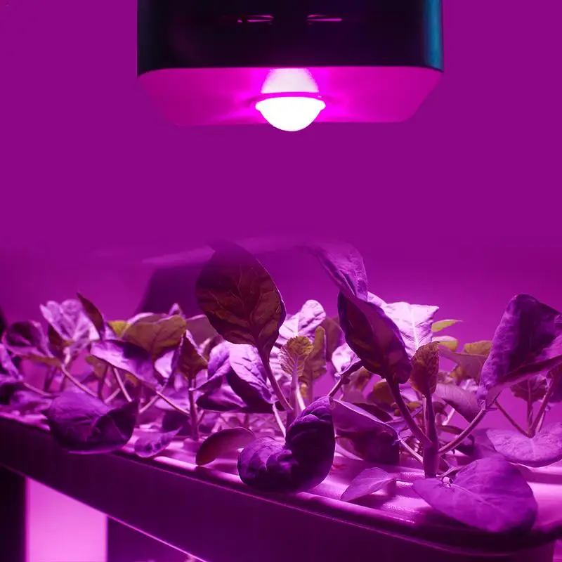 150W Growing Lamp COB LED Grow Light Full Spectrum 380-800nm Plant Lighting Fitolampy for Plants Flowers Seedling Cultivation
150W Growing Lamp COB LED Grow Light Full Spectrum 380-800nm Plant Lighting Fitolampy for Plants Flowers Seedling Cultivation