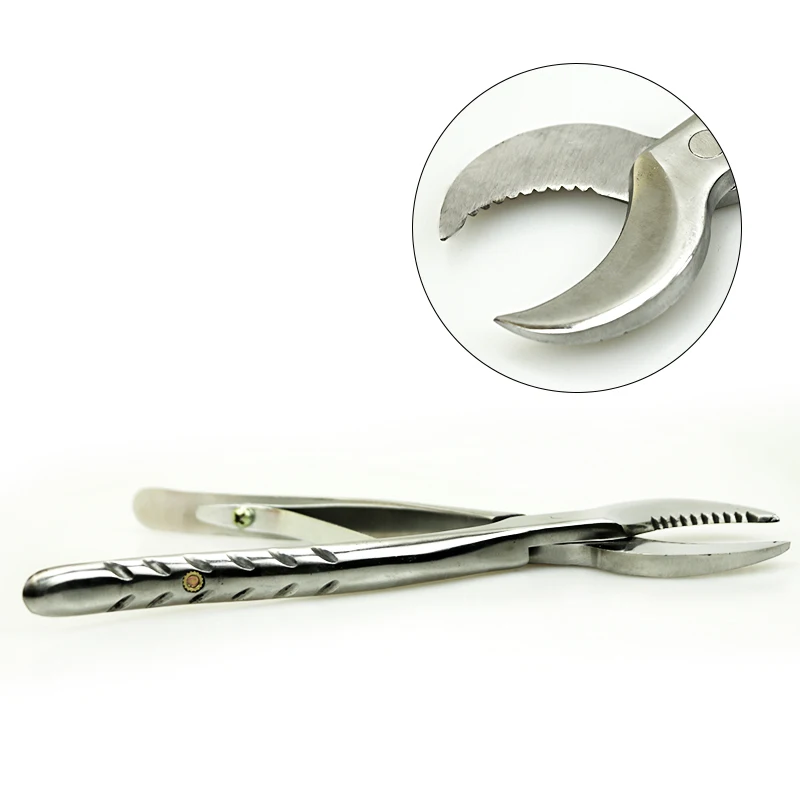 1pc Dental Lab Gypsum Scissors Dentistry Material Plaster Scissors For Dental Lab Equipment Samll and Large option
1pc Dental Lab Gypsum Scissors Dentistry Material Plaster Scissors For Dental Lab Equipment Samll and Large option