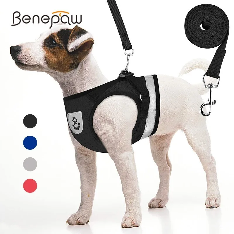 Светоотражающая шлейка для собак Benepaw, шлейка для щенков домашних животных, воздухопроницаемая, 2019
Светоотражающая шлейка для собак Benepaw, шлейка для щенков домашних животных, воздухопроницаемая, 2019