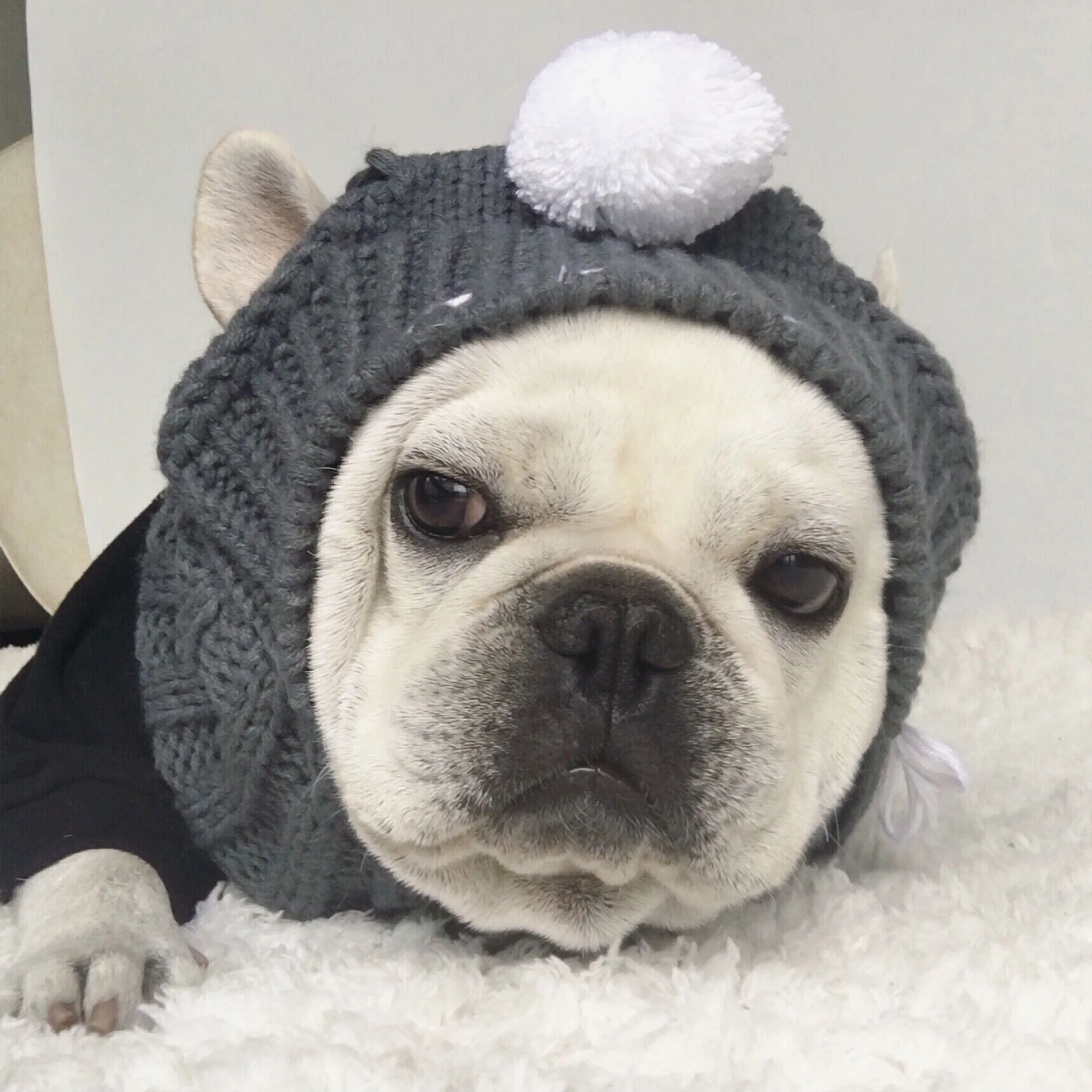 Dog Hat Cat Hat Pet Accessories Cap For Dog Fashion Warm Winter Pet Hat Soft Pet Supplies Merry Christmas Gift
Dog Hat Cat Hat Pet Accessories Cap For Dog Fashion Warm Winter Pet Hat Soft Pet Supplies Merry Christmas Gift