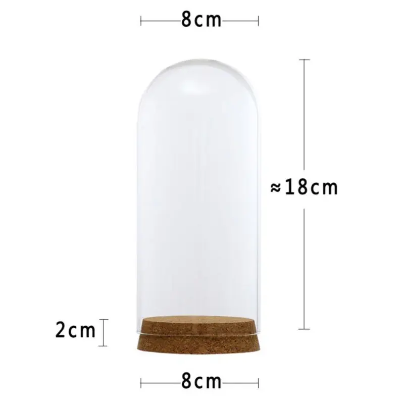 Glass Dome Cover for Flower Succulent Plants Vase with Wood Cork Table Decor DIY Dustproof Case Box Display Stand Table Decor
Glass Dome Cover for Flower Succulent Plants Vase with Wood Cork Table Decor DIY Dustproof Case Box Display Stand Table Decor