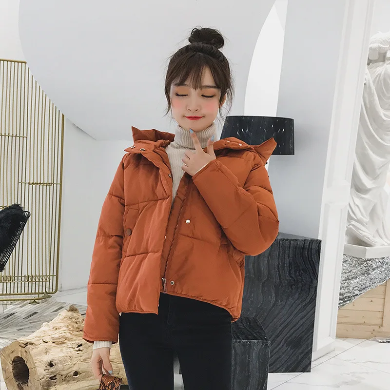 Loose Down Jacket Winter Women Short Down Jacket Parkas Female Casual Black Bread Overcoat
Loose Down Jacket Winter Women Short Down Jacket Parkas Female Casual Black Bread Overcoat