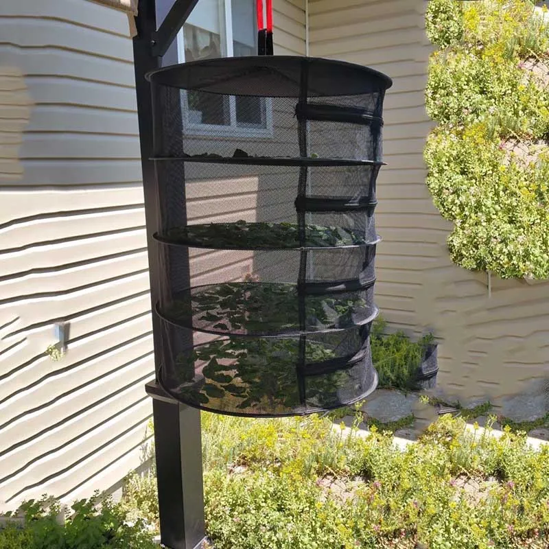 Herb Drying Rack Net 4 Layer Herb Dryer Mesh Hanging Dryer Racks with Zipper WXV Sale
Herb Drying Rack Net 4 Layer Herb Dryer Mesh Hanging Dryer Racks with Zipper WXV Sale