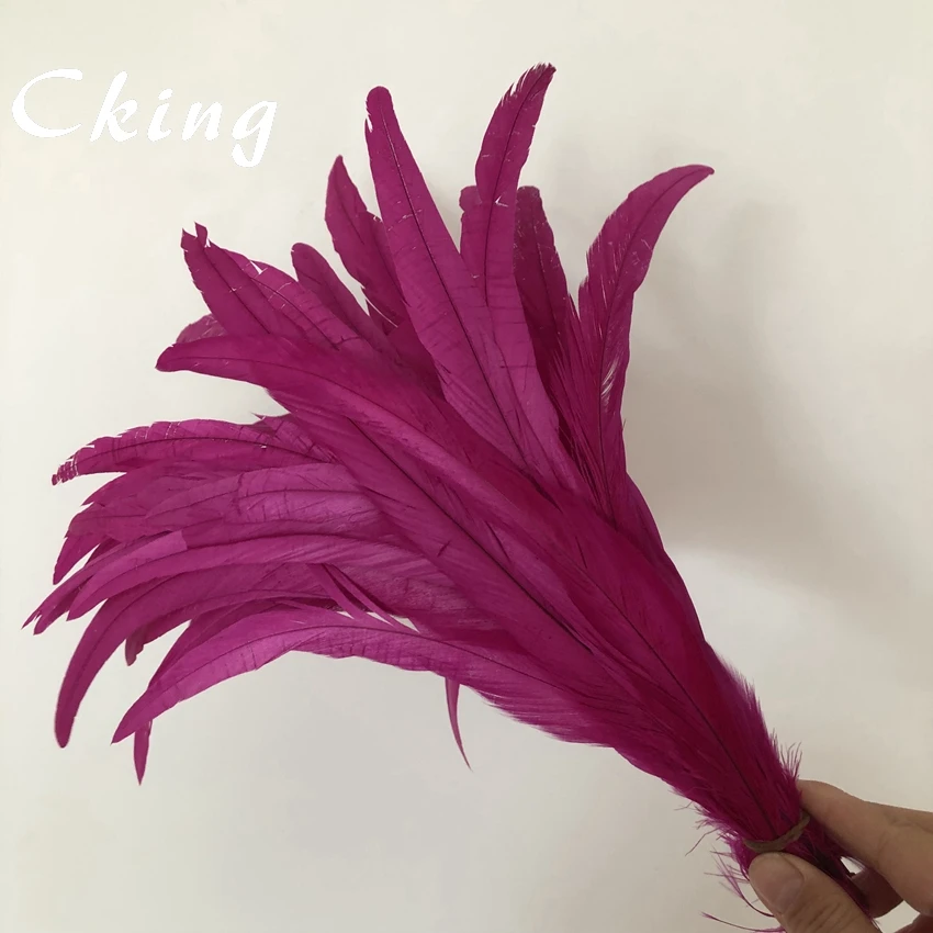Factory wholesale 100pcs/lot Hot pink/Bright Pink colored rooster tails feather colorful 25-30cm(10-12inch) for wedding decorate
Factory wholesale 100pcs/lot Hot pink/Bright Pink colored rooster tails feather colorful 25-30cm(10-12inch) for wedding decorate