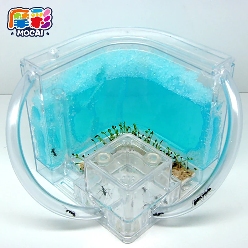mocai Novelty Ant Home Ant Villa + Ant Farm palace ecological toys Educational Toy Best Nature Pet Paradise tots JHTY095
mocai Novelty Ant Home Ant Villa + Ant Farm palace ecological toys Educational Toy Best Nature Pet Paradise tots JHTY095