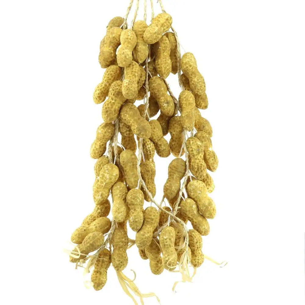 Gresorth Fake Vegetable Bunch Artificial Peanut Decoration for Home Kitchen Shop Party Show Food Display - 5 PCS
Gresorth Fake Vegetable Bunch Artificial Peanut Decoration for Home Kitchen Shop Party Show Food Display - 5 PCS