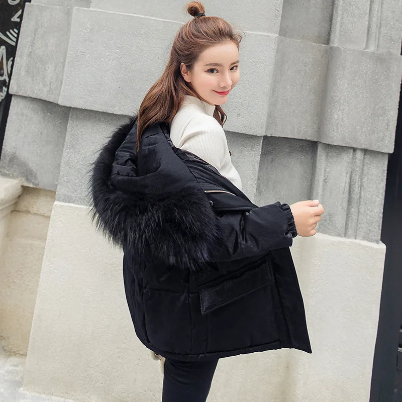 Korean Special Offer Long Solid No Zipper Cotton-padded Jacket 2019 New Student Easy Joker Warm Heavy Seta Lead Cotton Clothes
Korean Special Offer Long Solid No Zipper Cotton-padded Jacket 2019 New Student Easy Joker Warm Heavy Seta Lead Cotton Clothes