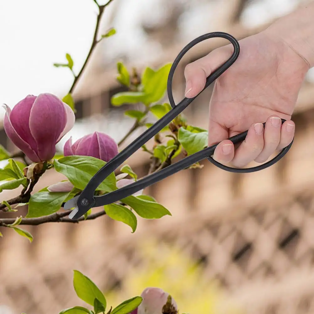 Garden Pruning Shear High Carbon Steel Garden Pruning Shears Thick Branches Scissors Bonsai Pruner Trimmer Tools
Garden Pruning Shear High Carbon Steel Garden Pruning Shears Thick Branches Scissors Bonsai Pruner Trimmer Tools