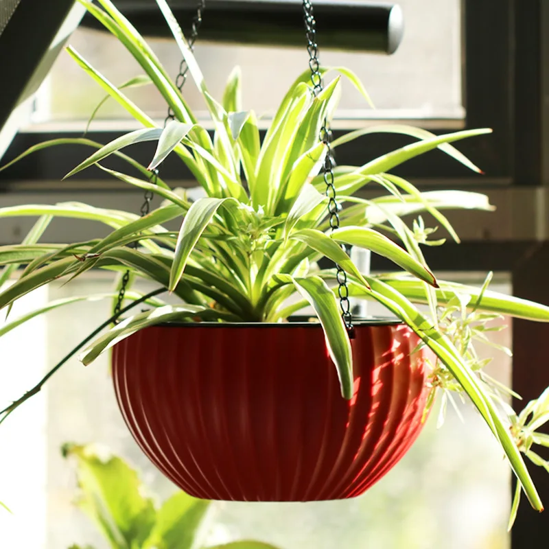 Modern Minimalist Semi-circular Lazy Wild Self-absorbent Penny Ball Hanging Orchid Flower Pot Lazy Artifact Four Colors Optional
Modern Minimalist Semi-circular Lazy Wild Self-absorbent Penny Ball Hanging Orchid Flower Pot Lazy Artifact Four Colors Optional