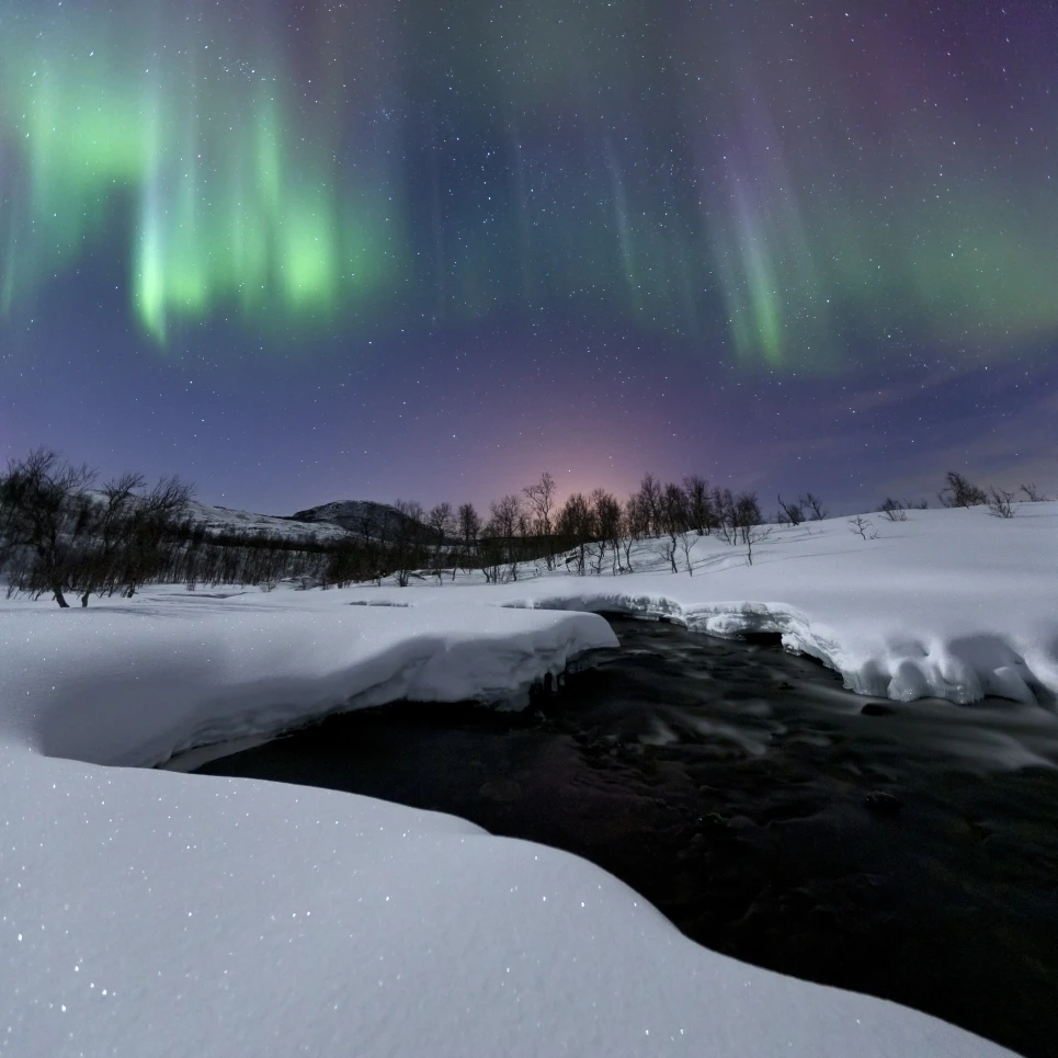 Aurora Borealis над Blafjellelva река в Тромс графство Норвегия плакат печать (27x28) | Дом и сад