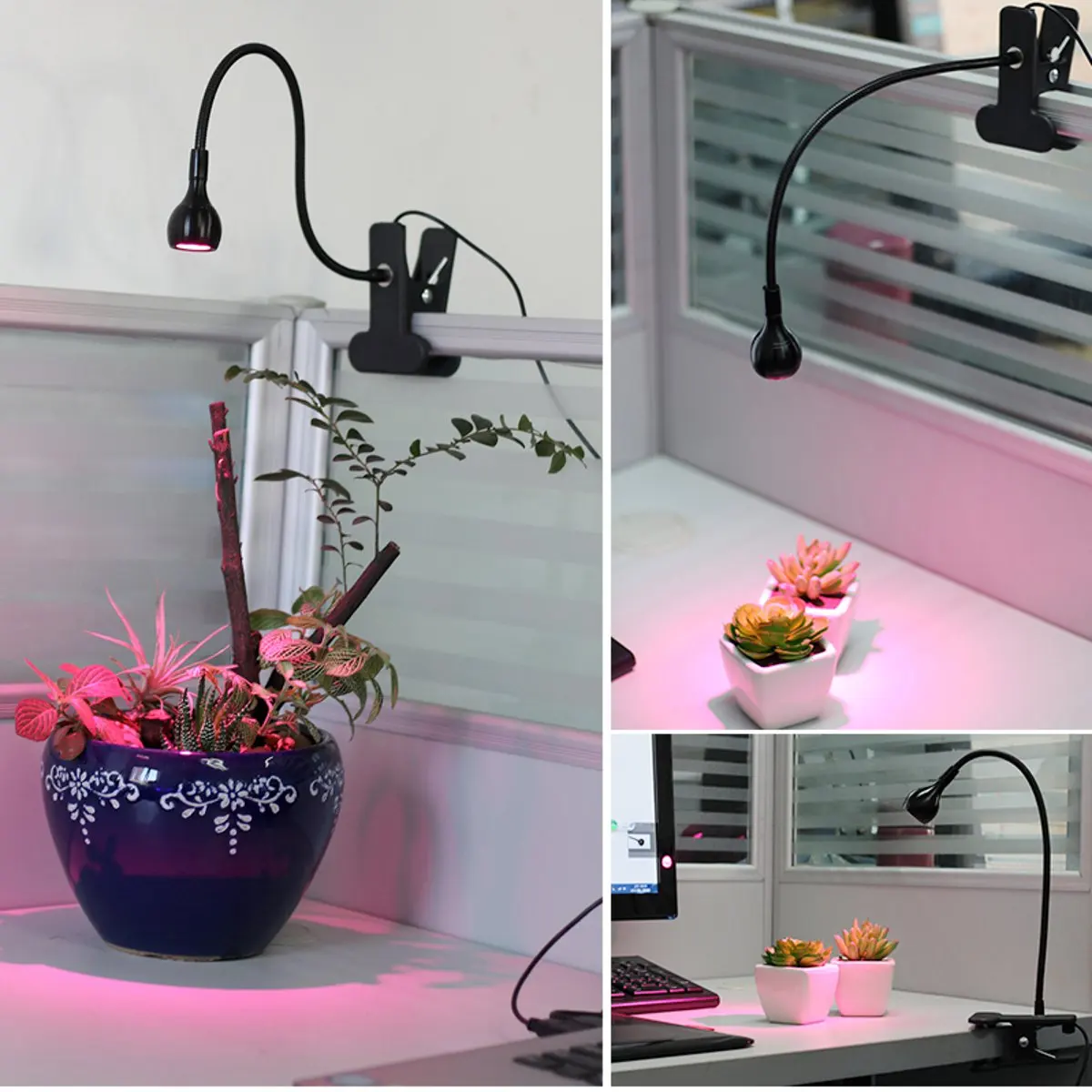 LED Grow Light Flexible Clip 5V USB Fitolampy LED Full Spectrum Phyto Lamp Power Supply Growing Lamp for Indoor Bonsai Planting
LED Grow Light Flexible Clip 5V USB Fitolampy LED Full Spectrum Phyto Lamp Power Supply Growing Lamp for Indoor Bonsai Planting