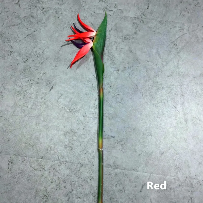 Wholesale 100pcs New Bird Of Paradise - Real Touch Plastic Flower Decorative Artificial Flower Wedding Party Home Free Shipping
Wholesale 100pcs New Bird Of Paradise - Real Touch Plastic Flower Decorative Artificial Flower Wedding Party Home Free Shipping