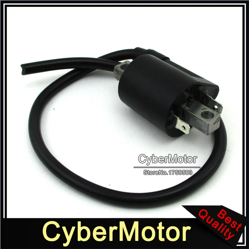Ignition Coil For 4 Cycle Yamaha Golf Cart G2 G9 G11 Replace J38-82310-20-00 1986 1987 1988 1989 1990 1991 1992 1993 1994 1995
Ignition Coil For 4 Cycle Yamaha Golf Cart G2 G9 G11 Replace J38-82310-20-00 1986 1987 1988 1989 1990 1991 1992 1993 1994 1995
