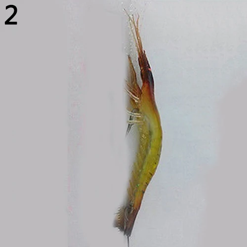1Pc 75mm Soft Plastic Lifelike Simulation Shrimp Glow in The Dark Outdoor Fishing Lure Bait
1Pc 75mm Soft Plastic Lifelike Simulation Shrimp Glow in The Dark Outdoor Fishing Lure Bait