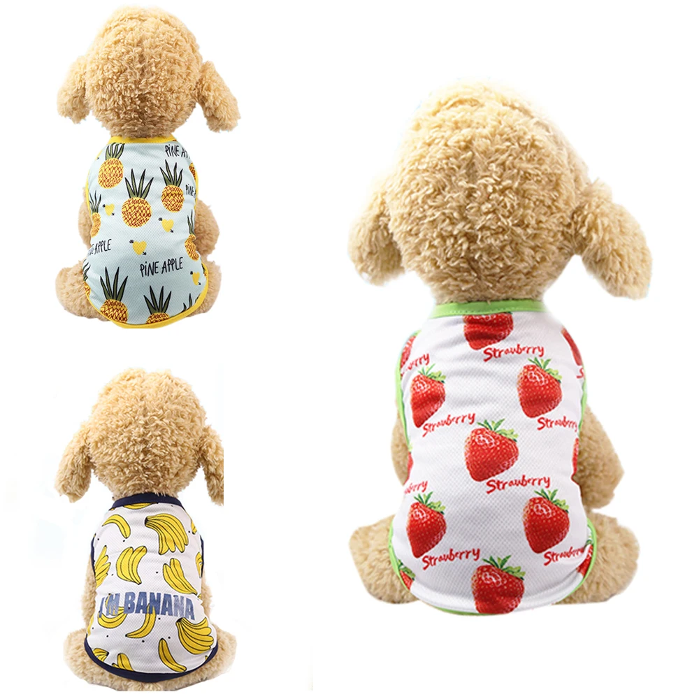 New Dog Skirt Banana Dog Shirt Fruit Printed Strawberry Pineapple T-shirt Pet Dog Clothes Supplies
New Dog Skirt Banana Dog Shirt Fruit Printed Strawberry Pineapple T-shirt Pet Dog Clothes Supplies