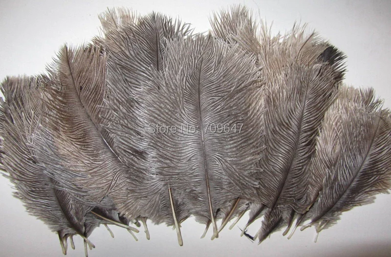 100pcs/lot! The Nature Real Ostrich Feathers 6-8inches 15-20cm,the Original Colour Ostrich Feathers for Carnival Costumes
100pcs/lot! The Nature Real Ostrich Feathers 6-8inches 15-20cm,the Original Colour Ostrich Feathers for Carnival Costumes
