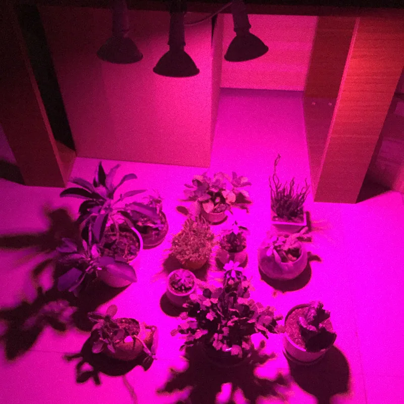 2019 new 200 led 3 head plant led grow light lamp grow tent for growing room greenhouse cultivo flower Hydroponics hydro
2019 new 200 led 3 head plant led grow light lamp grow tent for growing room greenhouse cultivo flower Hydroponics hydro
