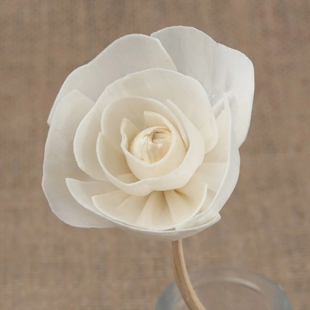 3PCS Lifelike Artificial Flower Lifelike Multi-Purpose Fake Faux Flower For Home Rattan Grass Flower Home Decor Supplies
3PCS Lifelike Artificial Flower Lifelike Multi-Purpose Fake Faux Flower For Home Rattan Grass Flower Home Decor Supplies