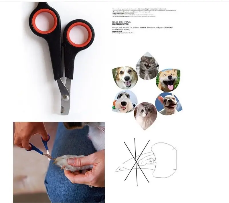 Popular Pet Grooming Supplies Dog Cat Nail Toe Claw Clippers Scissors Trimmer Cutter Grooming Tool
Popular Pet Grooming Supplies Dog Cat Nail Toe Claw Clippers Scissors Trimmer Cutter Grooming Tool