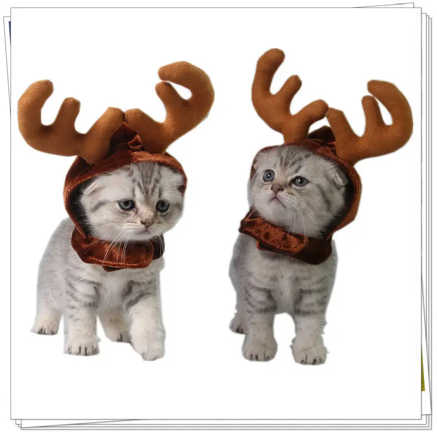 Cute Christmas Cat Costumes Headdress For Dog Cat Pet Xmas Headband Hat Puppy Costume Christmas Accessories
Cute Christmas Cat Costumes Headdress For Dog Cat Pet Xmas Headband Hat Puppy Costume Christmas Accessories