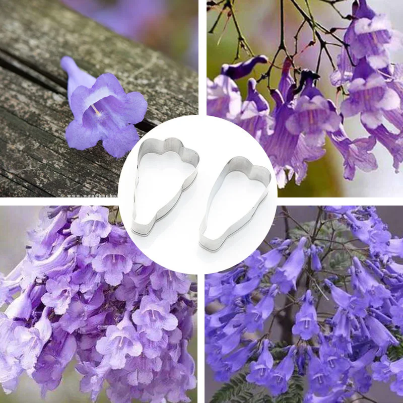 Stainless Steel Jacaranda Mimosifolia D. Don Flower Petal Shape Cutting Mould Blue Dendrobium Soft Polymer Clay Tools Cutter
Stainless Steel Jacaranda Mimosifolia D. Don Flower Petal Shape Cutting Mould Blue Dendrobium Soft Polymer Clay Tools Cutter
