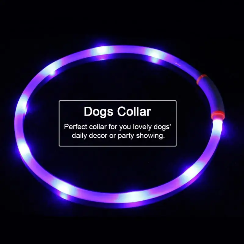 USB Rechargeable LED Pet Dog Collar Flashing Light Glow Safety Belt | Дом и сад