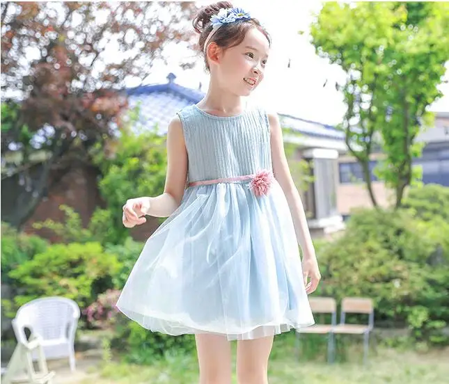 2020 girls summer lace dress child kids baby blue 3d flower children clothing sweet dress
2020 girls summer lace dress child kids baby blue 3d flower children clothing sweet dress