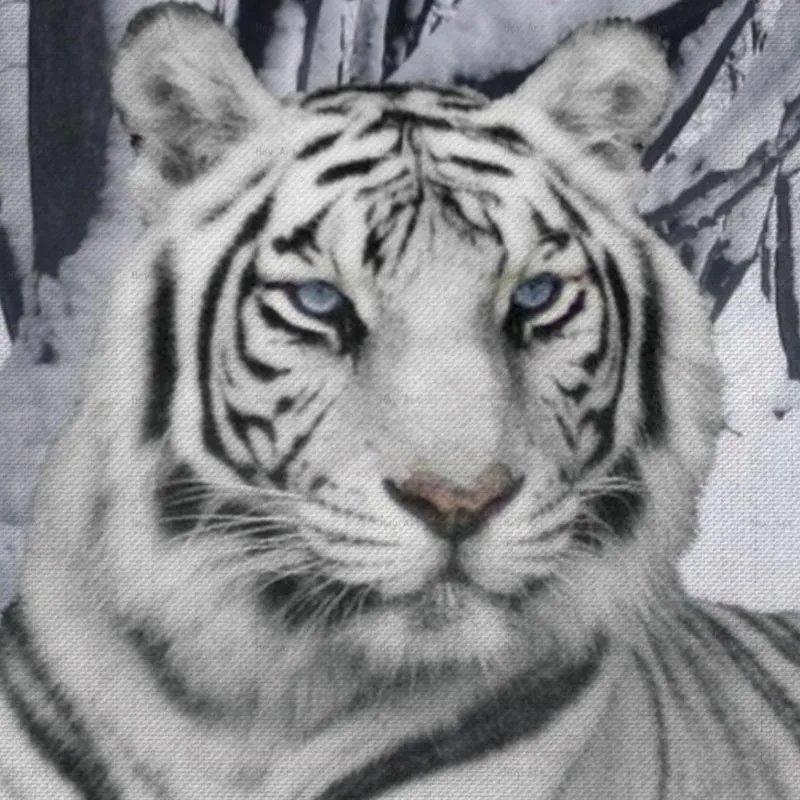 Snows Landscape Decorative Pictures poster animal Print Tiger Canvas Painting Wall Art for Living Room Unframed Prints
Snows Landscape Decorative Pictures poster animal Print Tiger Canvas Painting Wall Art for Living Room Unframed Prints