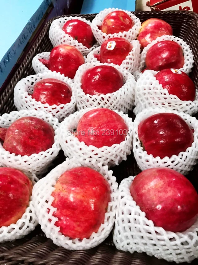 580pieces 14x7cm Green color Fruit foam EPE Foam mesh sleeve net Thick fruit foam sleeve net flower sleeve net packing material
580pieces 14x7cm Green color Fruit foam EPE Foam mesh sleeve net Thick fruit foam sleeve net flower sleeve net packing material