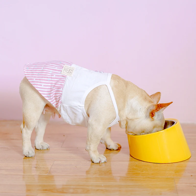 HUP Dog Bowl Tilt Bowl Method Bucket Tobago Special-purpose Bowl Will Face Bowl Neck Stainless Steel The Dog Bowl Pets Bowl
HUP Dog Bowl Tilt Bowl Method Bucket Tobago Special-purpose Bowl Will Face Bowl Neck Stainless Steel The Dog Bowl Pets Bowl