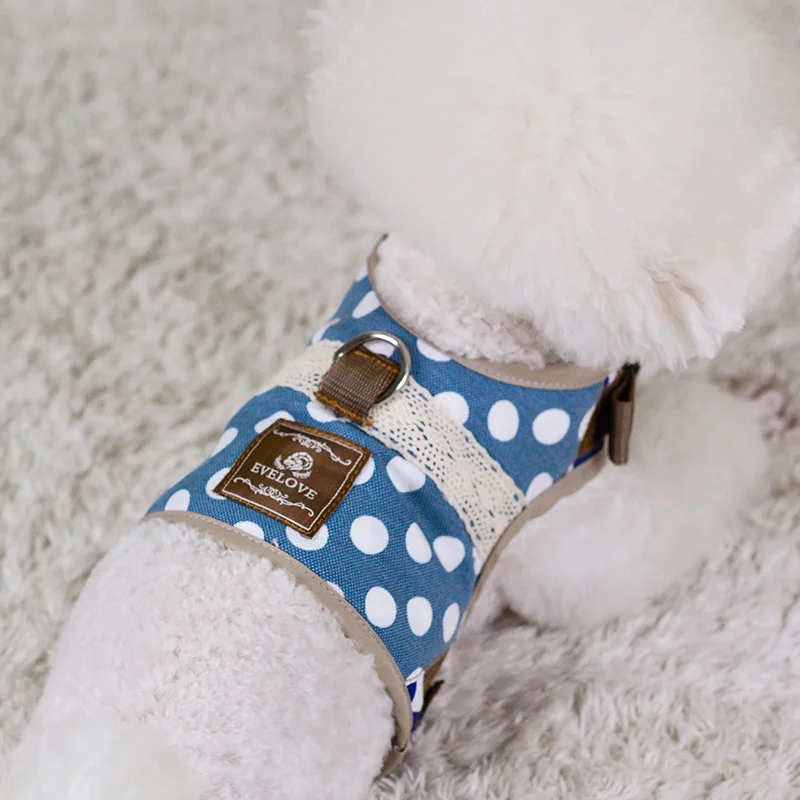Small Dogs Leash with Pet Leash Small Dogs Teddy Dog Rope Collar VIP Dog Harness
Small Dogs Leash with Pet Leash Small Dogs Teddy Dog Rope Collar VIP Dog Harness